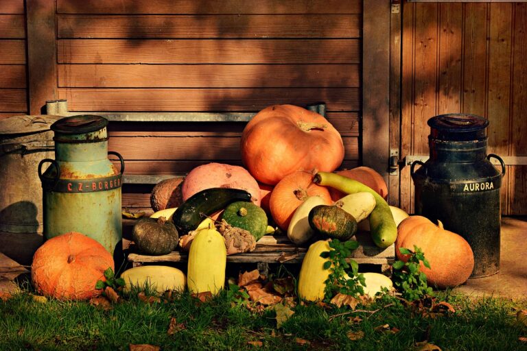 Innovations and Economic Growth in the Food Industry