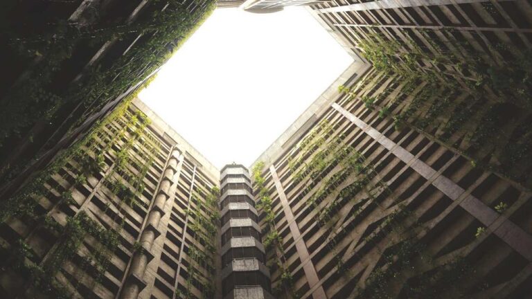 How To Recover Cricbet99 Username And Password?